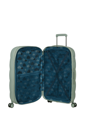 Чемодан 77 см Dreami EVERDREAM SAGE - samsonite.ua