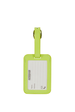 Бирка на чемодан (2 шт.) American tourist. ta LIGHT LIME - samsonite.ua