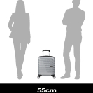 Чемодан 45 см Flashline SKY SILVER, Фото №7(Миниатюра) - samsonite.ua