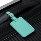 Бирка на чемодан (2 шт.) American tourist. ta JELLY MINT, Фото №4(Миниатюра) - samsonite.ua